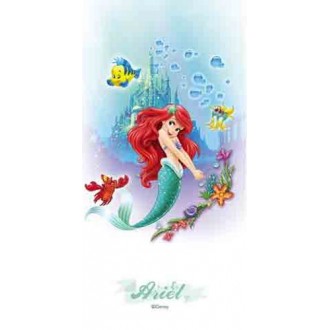 Ariel 30*60