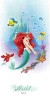 Ariel 30*60