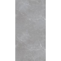 Arion Gray Dark 59.7х119.7