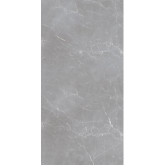 Arion Gray Dark 59.7х119.7
