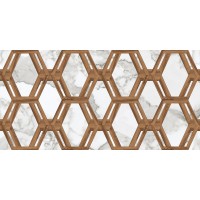 Aristo Decor White 60*120