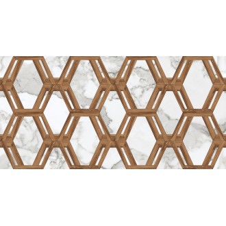 Aristo Decor White 60*120