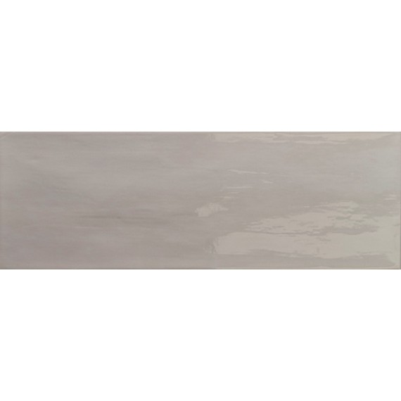Керамическая плитка Arlette Gris 21.4х61