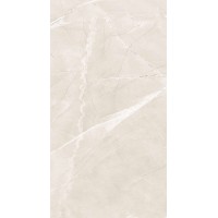 Armani Bianco Silk 60x120