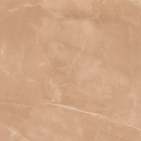 Armani Camel Satin 60x60