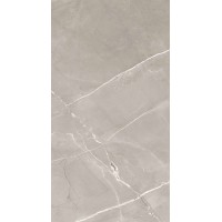 Armani Grey Polished 60x120