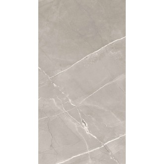 Armani Grey Polished 60x120