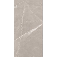 Armani Grey Satin 60x120