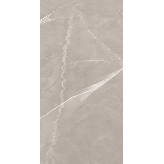 Armani Grey Satin 60x120