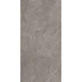 Armani Gris Glossy 600x1200