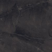 Armani Nero Satin 60x60
