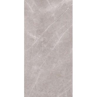 Armani Silver Soft Matt Mix 160x320