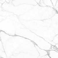 Artemisa Blanco Matt 120x120