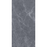 Ascot Antracit Matt 60x120