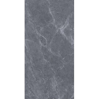 Ascot Antracit Matt 60x120