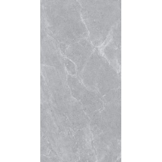 Ascot Grey Matt 60x120