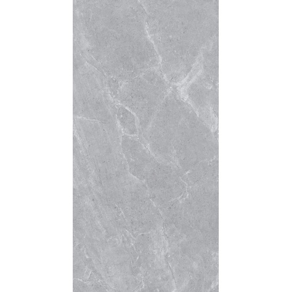 Керамогранит Ascot Grey Matt 60x120