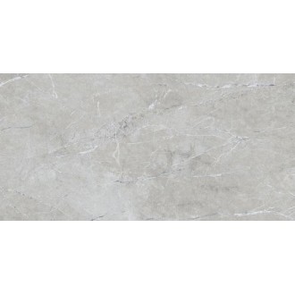 Ash Ford Grey 60x120