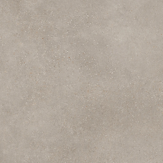 Керамогранит Asphalt Mud Rect R10 80x80