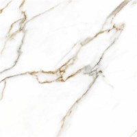 Aston Gold MT Rect. 60x60