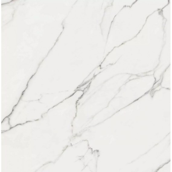 Керамогранит Aston White Rect. Pul 119x119