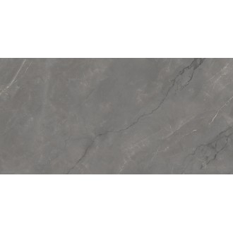 Astonia Grey Glossy Golden Line 60x120