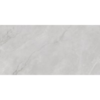 Astonia Silver Glossy Silver Line 60x120