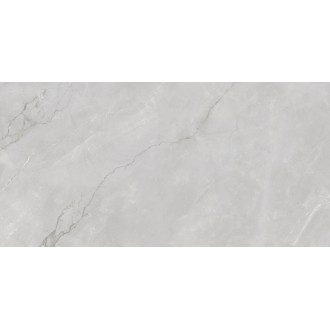Astonia Silver Glossy Silver Line 60x120