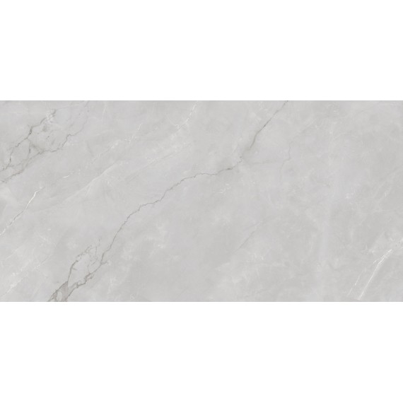 Керамогранит Astonia Silver Glossy Silver Line 60x120