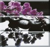 Aure Composicion Wellness Purple 45x45