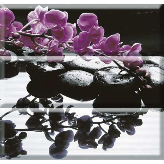 Керамическая плитка Aure Composicion Wellness Purple 45x45
