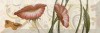 Aure Decor Face 01 15x45
