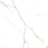 Austrain Natural Glossy 600x600