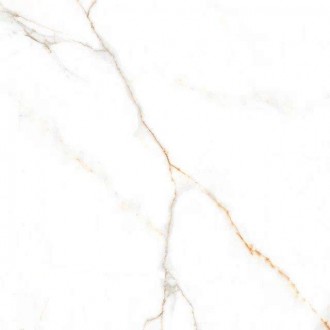 Austrain Natural Glossy 600x600