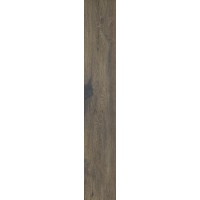 Aveiro Brown 19,4х120