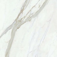 BAE5 Calacatta Select JL 02 SP SQ 120х120