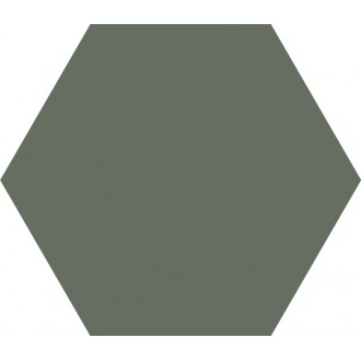 BASIC HEX 25 Moss 25x22