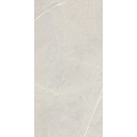 BB612NTT9101P Bright And Shiny 60x120