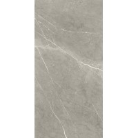 BB612NTT9102P Bright And Shiny 60x120