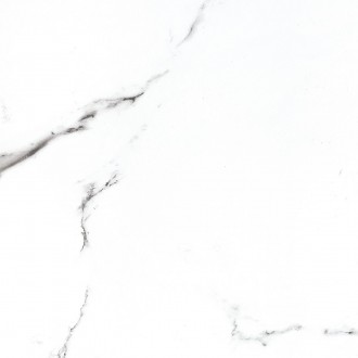 BB6NTT9100P Bright And Shiny 60x60