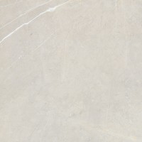 BB6NTT9101P Bright And Shiny 60x60