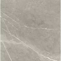 BB6NTT9102P Bright And Shiny 60x60