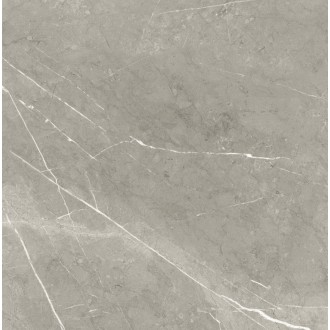 BB6NTT9102P Bright And Shiny 60x60