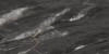 BELS710F5KBA Керамогранит Tropical Black Polished 75x150
