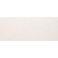 BG18 Bianco 20*50
