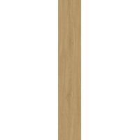 BHD-2007 Керамогранит Jatoba коричневый матовый структурный 20x120
