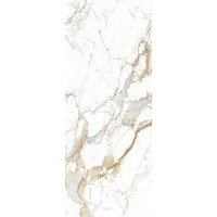 BHK-4009 Керамогранит Golden Francesca Shape Ink 120x300