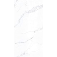 BHW-0003 Carrara Polished (Sinking Ink) 600x1200x8