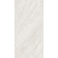 BHW-0018 Precious Stone Polished (Sinking Ink) 600x1200x8