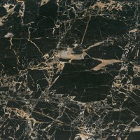 BIEN0008 Tiger Black Rec Full Lap 600x600x8,5